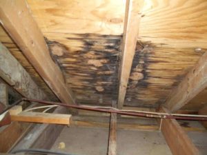 Roof Leak: Roofing Deck Rot